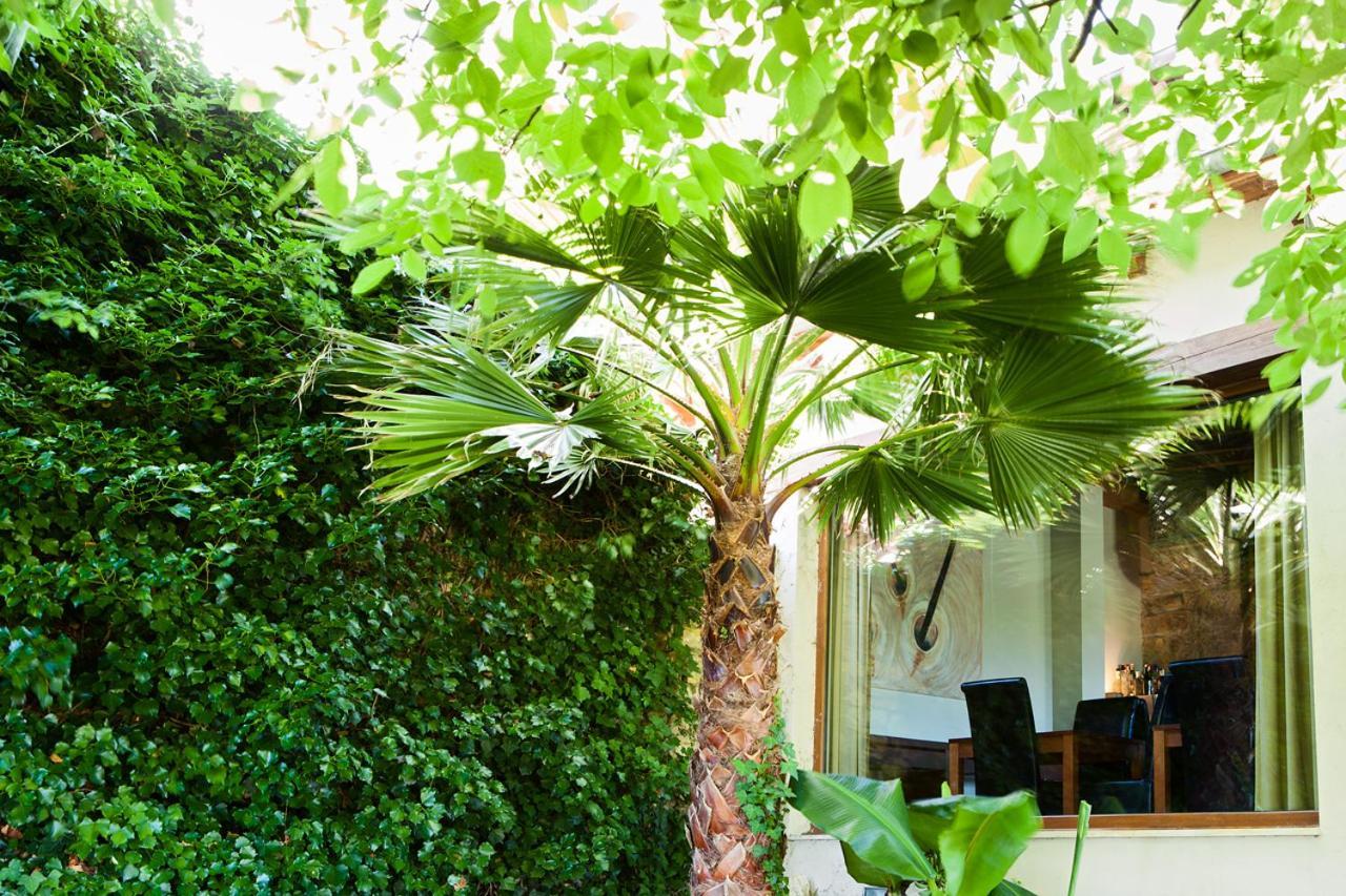 Sotobosque 3* Mortera